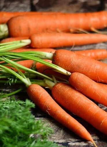 морковь от компании Хлебный двор морковь оптом